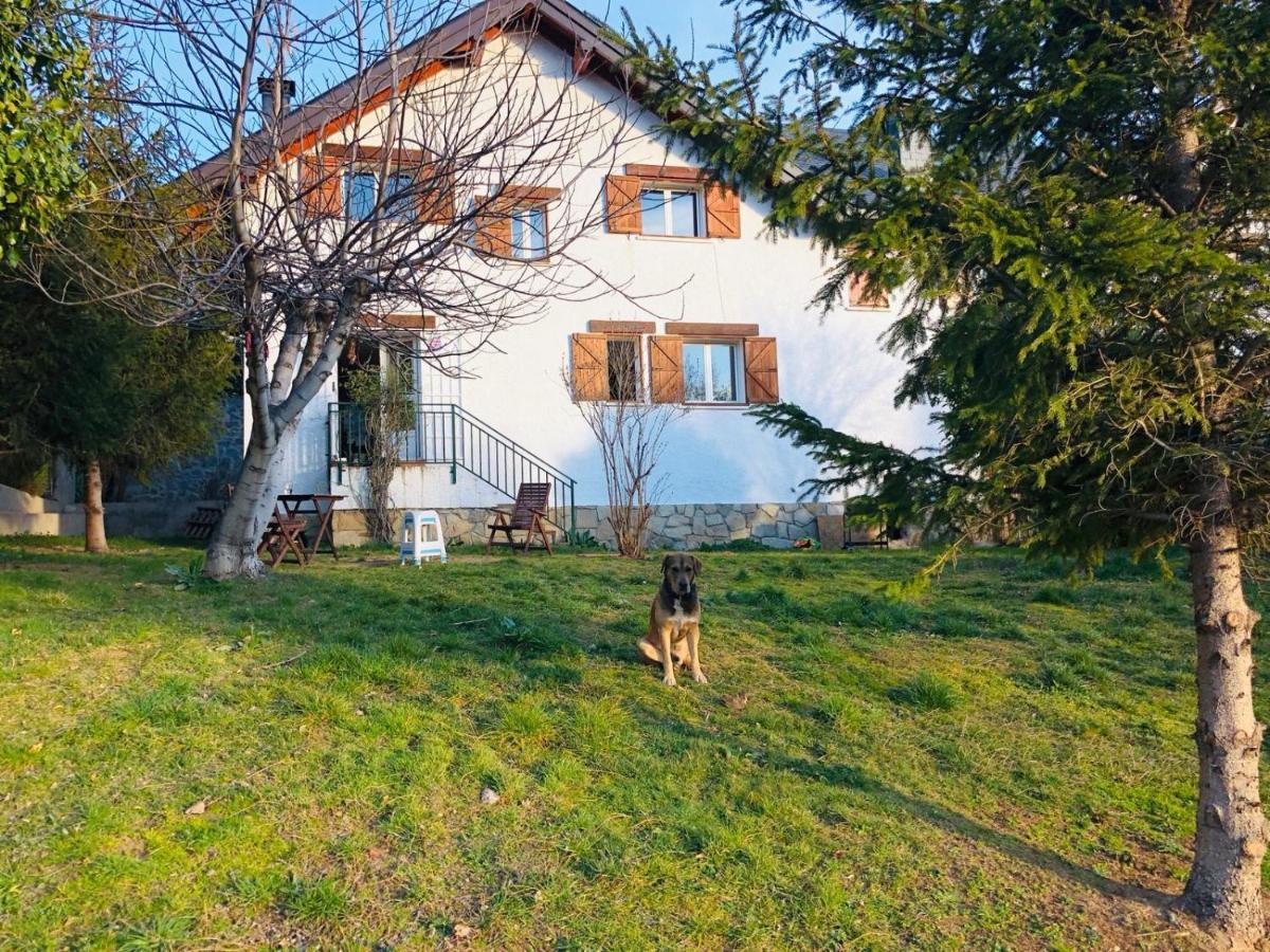 Casa Con Jardin, 4 Habitaciones Y Mucho Encanto En Cercedilla Exterior photo